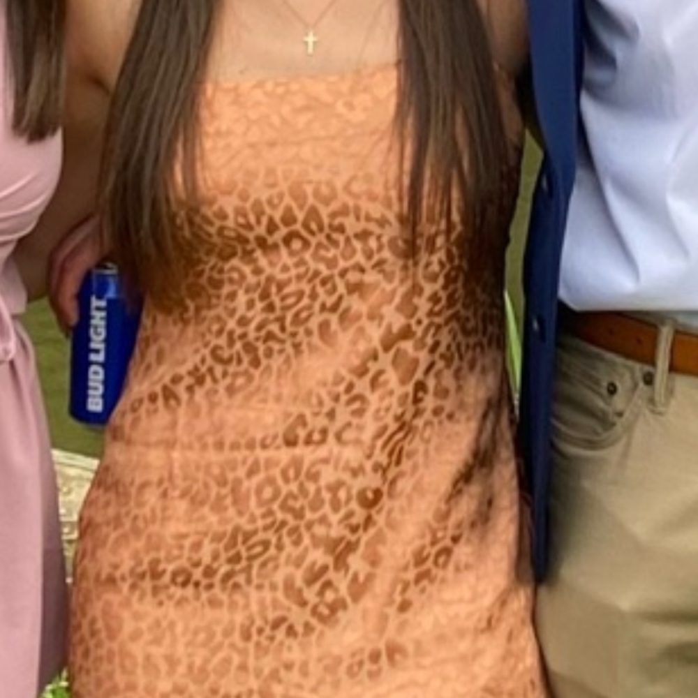 Cheetah print silky dress. Only worn once!